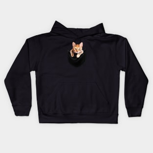 Funny Cute Ginger Cat Inside Pocket, Cat Lover Kids Hoodie